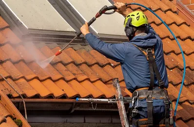 Démoussage et hydrofuge de toiture à Bachas